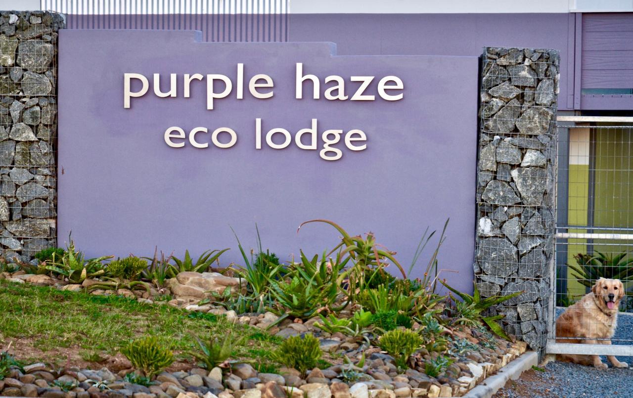 Purple Haze Eco Lodge Chintsa Buitenkant foto